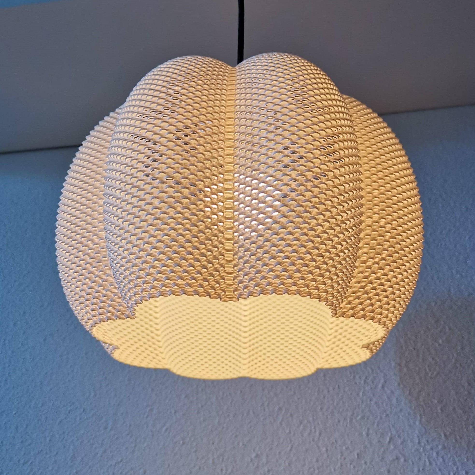 Corallum Light