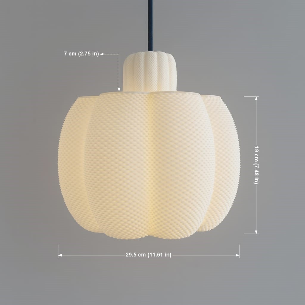 Corallum Light